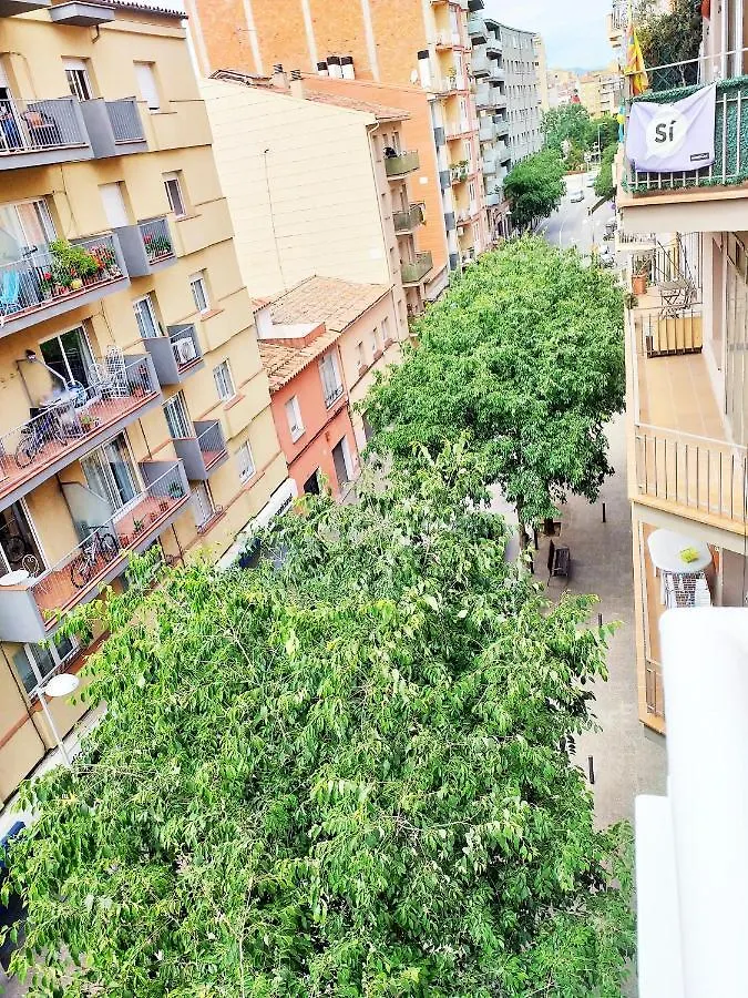 Centrico Y Acogedor Apartamento Girona